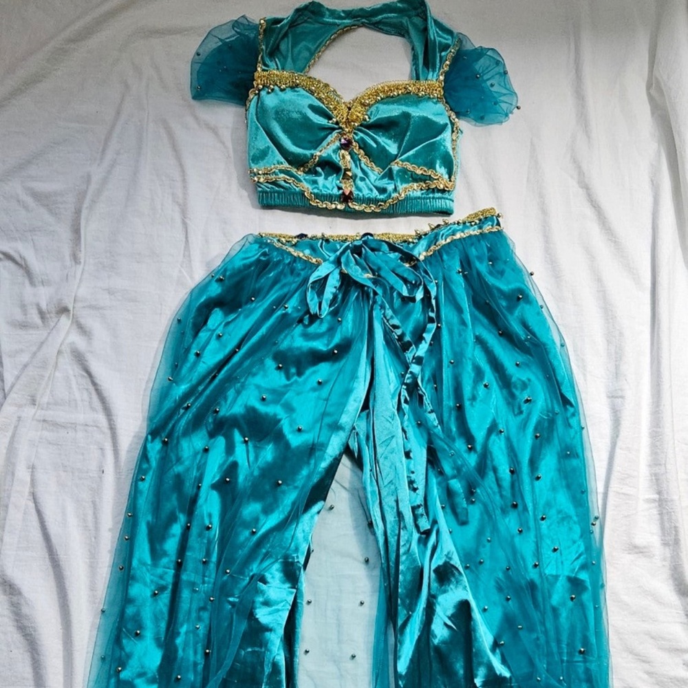 Princess Jasmine Adult Costume
